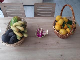 Finca de Luna - 2