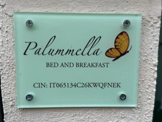 Palummella - Sapri - 1