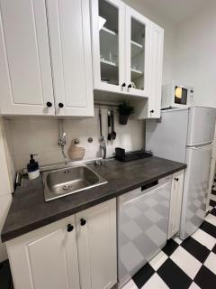 A spacious and stylish apartment, Dorćol - Belgrado - 3