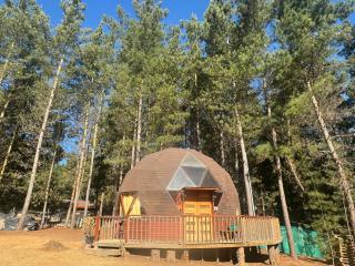 Bosque Domo II - Algarrobo - 2