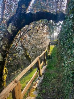 Chalet Les Accacias - 4