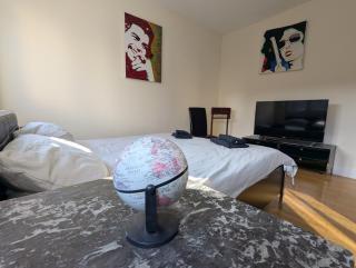 Rooftop-Apartment Citylage - Offenburg - 8