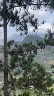 Cabaña los Angelitos - Santa Fé - 1