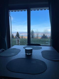 Studio Bleuets du Léman vue sur lac - Thollon - 9