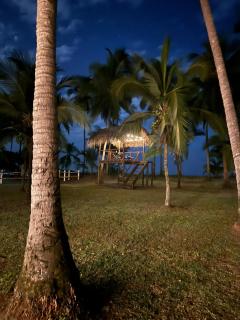 Blue Pineapple Villa - Parrita - 8