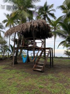 Blue Pineapple Villa - 7