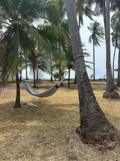 Blue Pineapple Villa - Parrita - 1
