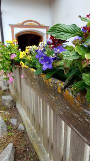 Walterhof - Mals - 4