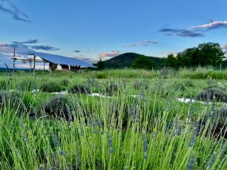 Stunning lavender farm - New house with amazing views - - 7