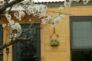 Dream House - Yerevan - 7