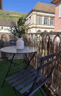 GITE AU COEUR DU VIGNOBLE ALSACIEN - 7