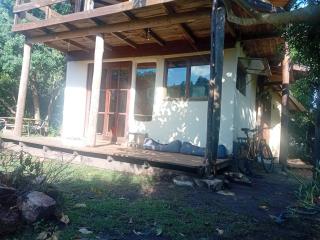 La semilla - - 6