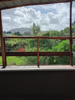 La semilla - - 4