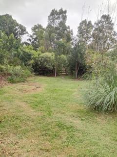 La semilla - - 2
