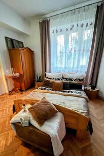 Antique Charm 2 bedroom - Prague - 0