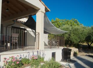 Sous le figuier - La Roque-sur-Pernes - 6