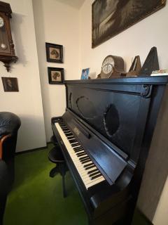 Antique Charm 2 bedroom - Prague - 5