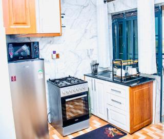 Cool Breeze Penthouse - Kisumu - 1