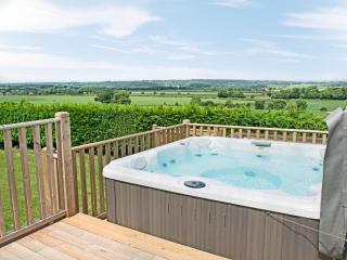 Primrose Cottage - Uk49219 - Burythorpe - 0