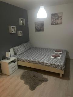 Vrnjacki apartmani - Vrnjačka Banja - 6