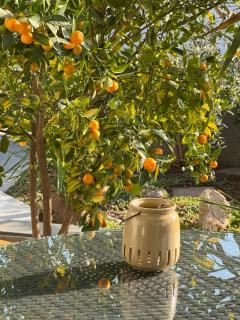Villa Verica - Vodice - 6