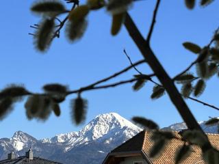 Warmbad Apartments - Villach - 9