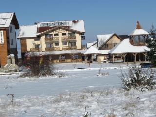Pensiunea Valceaua Zanelor - 8