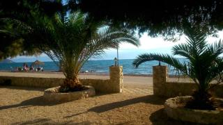 Finikas - Iria - 7