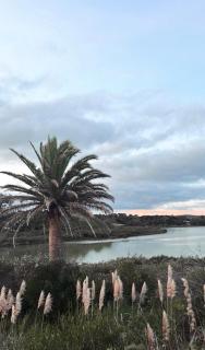 Allure - Your Wellbeing Getaway - Auckland - 3