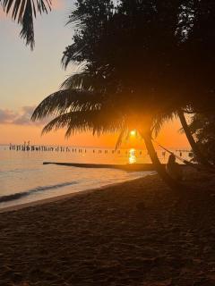 Coco Bamboo Beach Camp - Miramar - 6