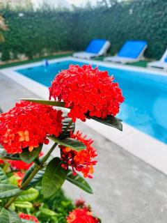 Hostal White beach - 9
