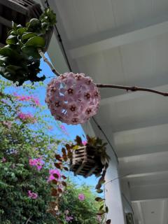 Ocean Garden Studio II - - 4