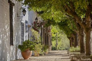 La Pepurria - Los Reartes - 5