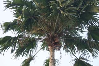 Cool Villa - Sekondi-Takoradi - 2