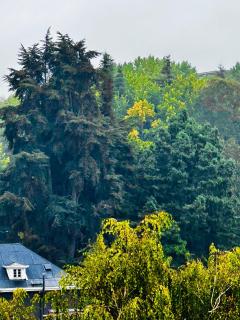 Moderno y equipado departamento - 8