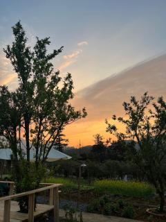 Lung Chung Doi Sapa - Homestay & Coffee Garden - Sapa - 5