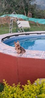Hotel Finca los Cristales - 2