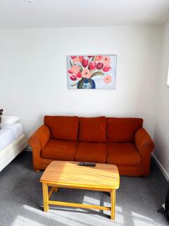 Bush Inn Court Motel - Christchurch - 4