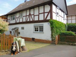 1 bedroom apartment - Frielendorf - 0