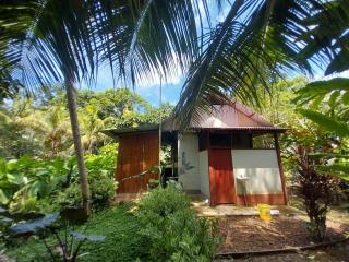 JARDIN DE LAS MUSAS - Puerto Maldonado - 8