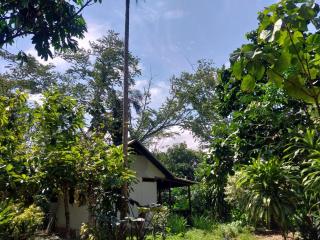 Musas Garden Lodge Tambopata - 0