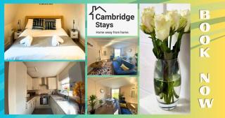 Cambridge Stays - 1 BR Apartment Central located near Park - Cambridge - 0