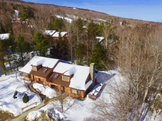 FC14 Slopeside Bretton Woods cottage with AC large patio and private yard Walk to slopes - Carroll - 9