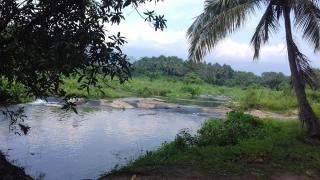 Aneys River View Home stay & Resort - Palakkad - 9