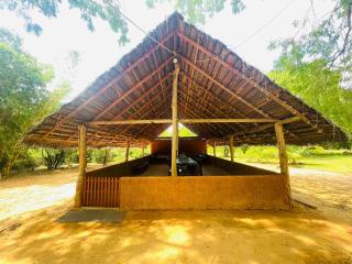 Randunu Resort Yala - Yala - 3