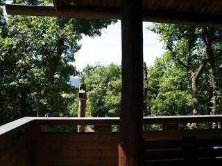 Special log cabin on the edge of the forest - Diemelsee - 5
