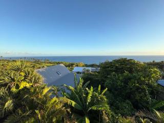 Grande Villa au calme - Vue exceptionnelle - Climatisation - Piscine sel chauffée - Jardin Tropical - Vincendo - 7