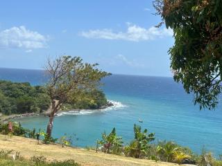 Palmetto Bay Paradise - 1