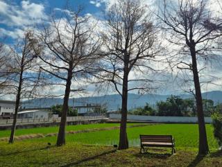 Blue Sky Hill Homestay - Guanshan - 5