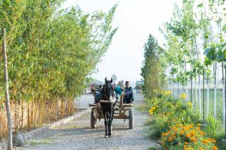 StayVista at Mud & Mirage - A Luxury Village Life - 4